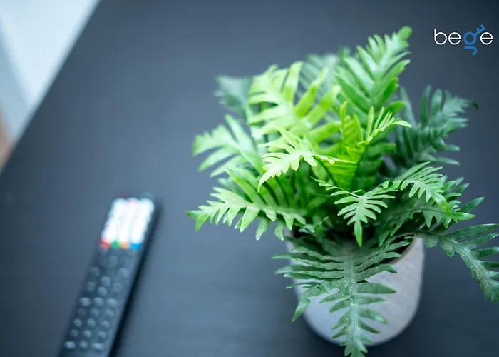 Appartement Bege Minimalstay